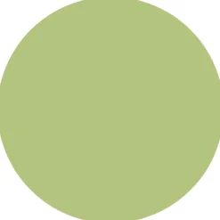 Best Alessandro Striplac Peel or Soak Oriental Spirit