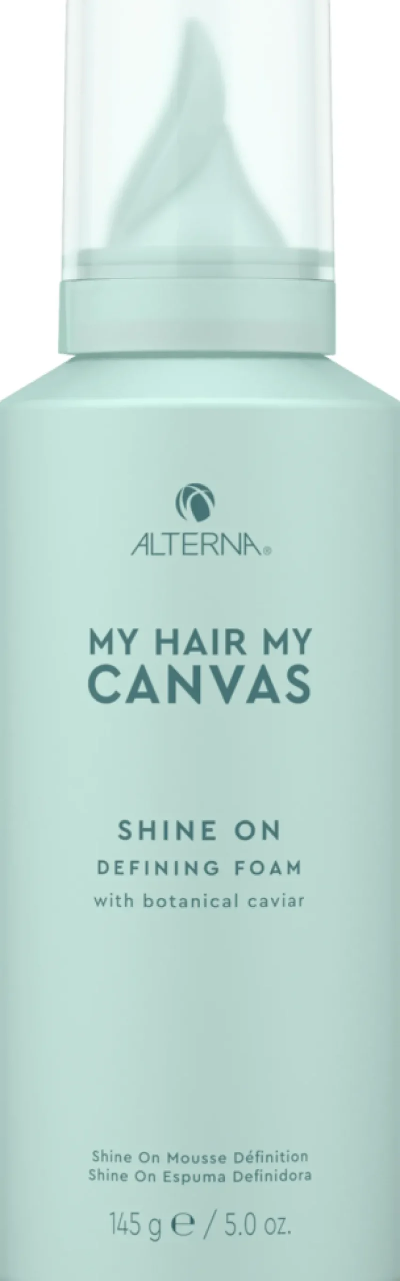 Online Alterna My Hair My Canvas Shine On Defining Foam