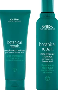 Discount Aveda Botanical Repair Set