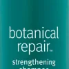 Outlet Aveda Botanical Repair Strengthening Shampoo