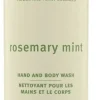 Outlet Aveda Rosemary Mint Hand and Body Wash