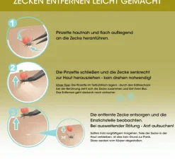 Sale Canal Instrumente Canal Zeckenpinzette für Menschen 11cm