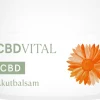Hot CBD VITAL Akutbalsam