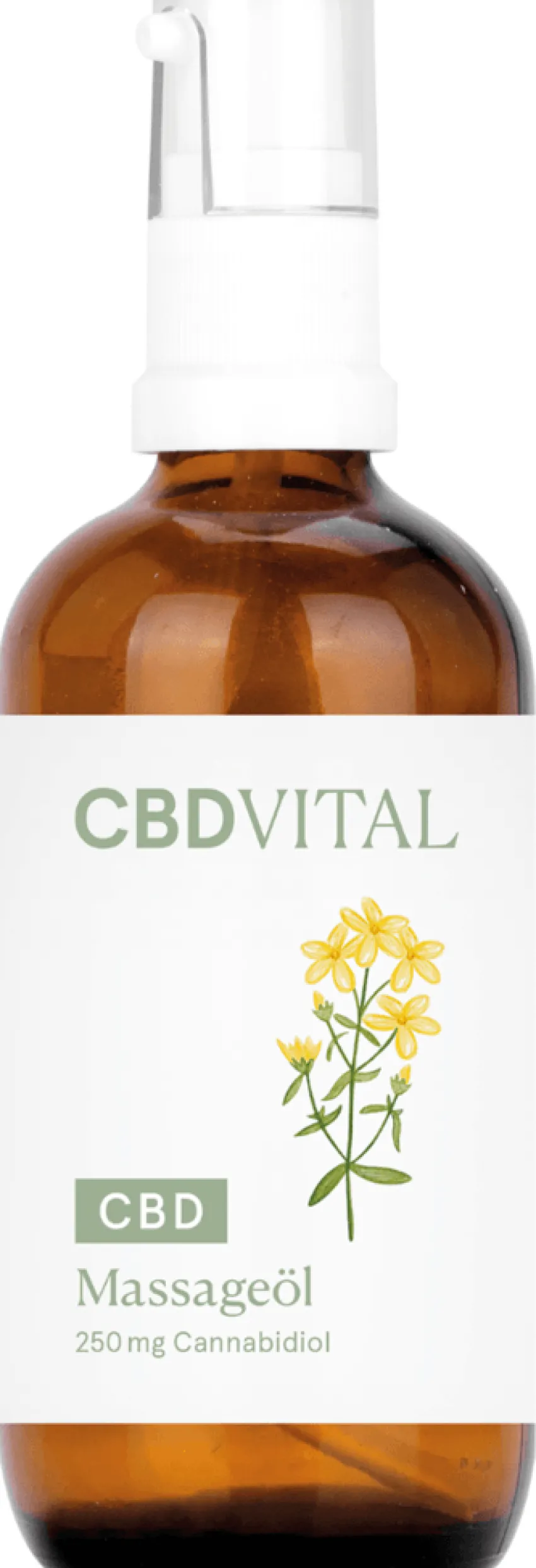 Outlet CBD VITAL Massageöl