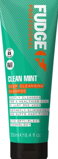 Discount Fudge Clean Mint Shampoo
