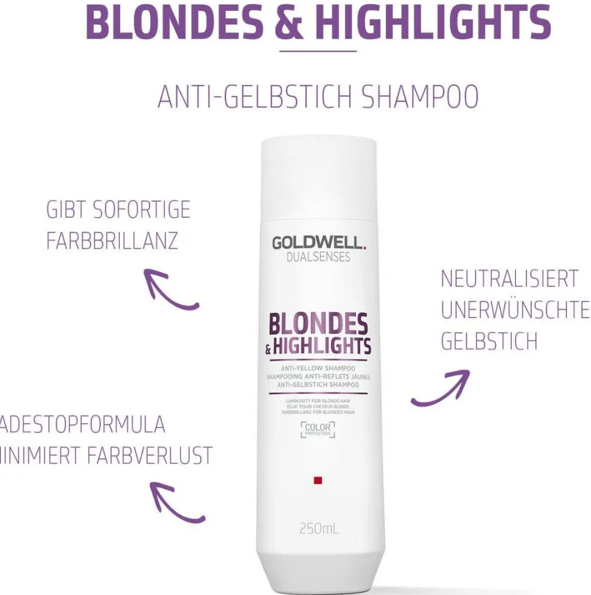 Hot Goldwell Dualsenses Blondes & Highlights Shampoo