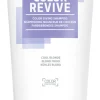 Best Goldwell Dualsenses Color Revive Shampoo