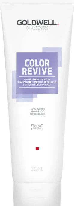 Best Goldwell Dualsenses Color Revive Shampoo