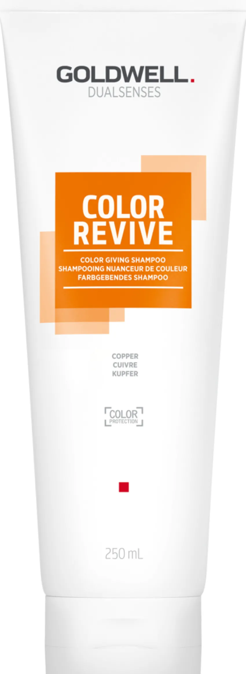 Best Goldwell Dualsenses Color Revive Shampoo