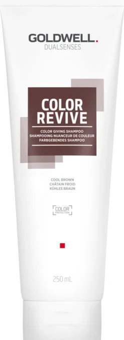 Best Goldwell Dualsenses Color Revive Shampoo