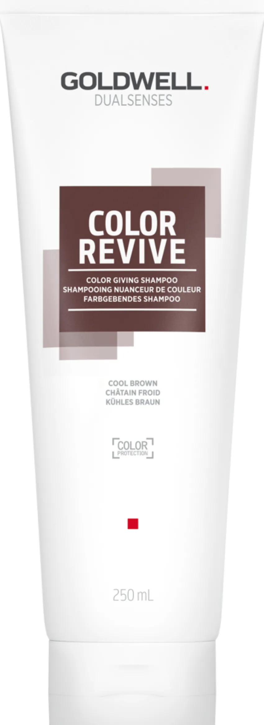 Best Goldwell Dualsenses Color Revive Shampoo