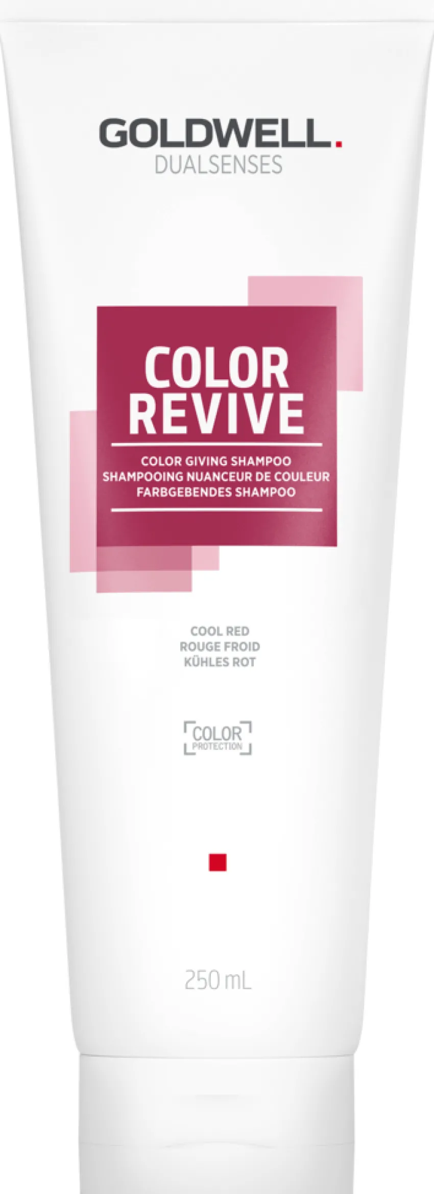 Best Goldwell Dualsenses Color Revive Shampoo