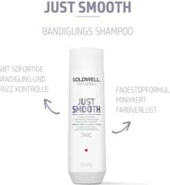 Online Goldwell Dualsenses Just Smooth Shampoo