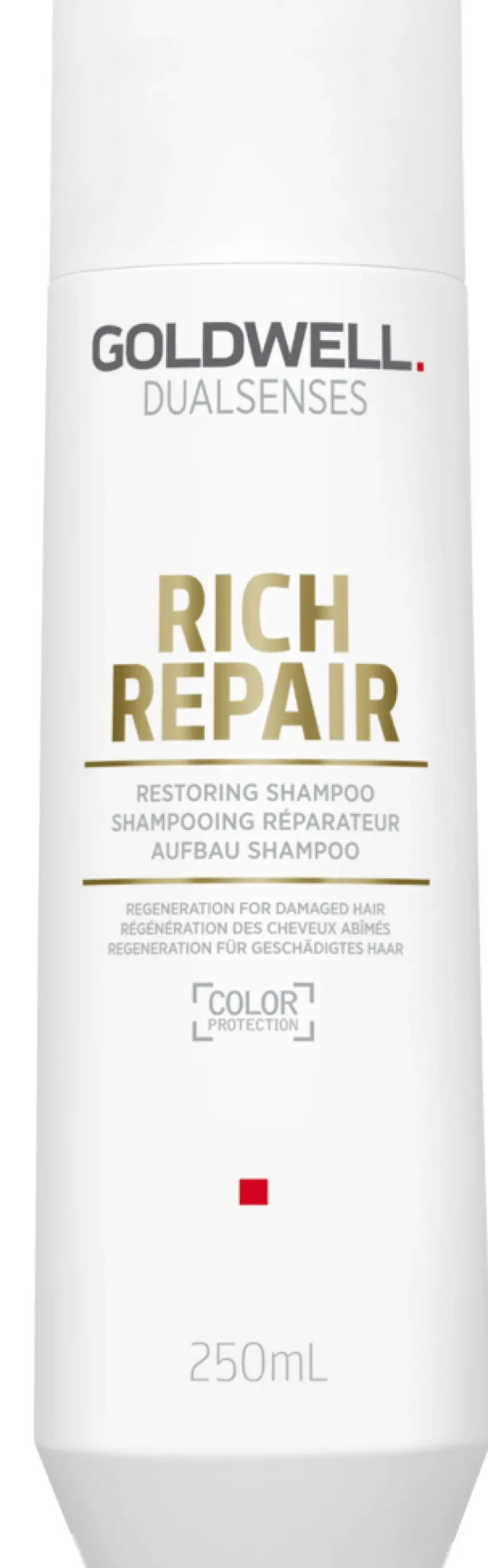 Outlet Goldwell Dualsenses Rich Repair Shampoo