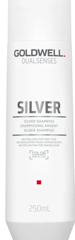 Outlet Goldwell Dualsenses Silver Shampoo