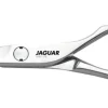 Hot Jaguar CJ4 Plus