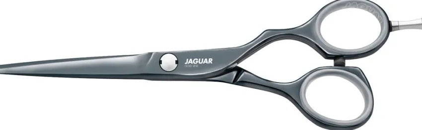 Sale Jaguar Diamond E Titan