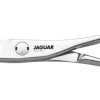 Sale Jaguar Dynasty E