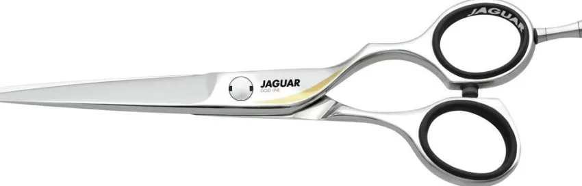 Discount Jaguar Goldwing