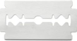 Online Jaguar R1 - 10 Klingen