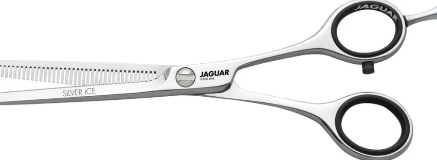 Best Jaguar Silver Ice 46 Modellierschere