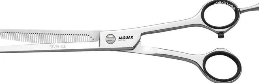 Best Jaguar Silver Ice 46 Modellierschere