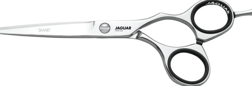 Online Jaguar Smart
