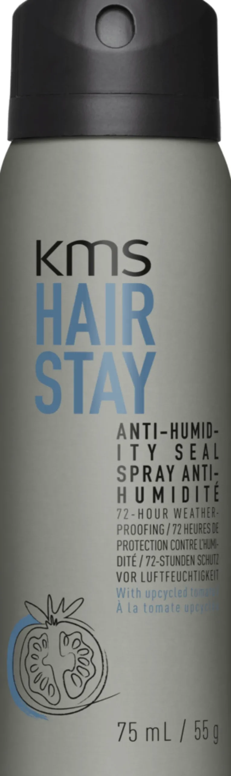 Best KMS Hairstay Anti-Humidity Seal Spray