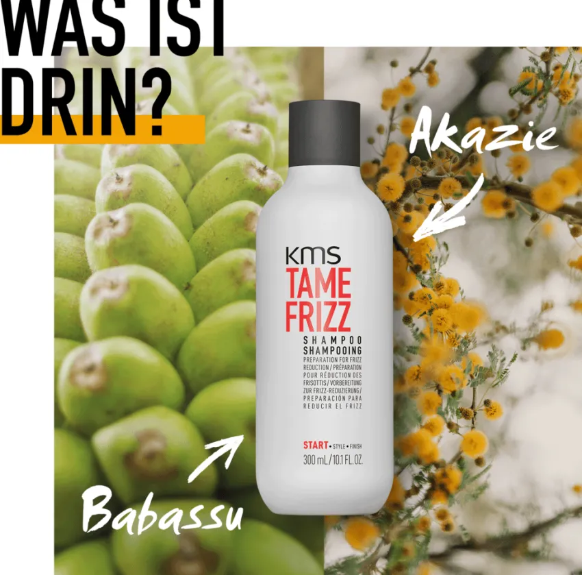 Hot KMS Tamefrizz Shampoo