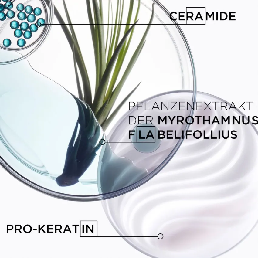 Online Kérastase Resistance Bain Force Architecte Refill 500ml