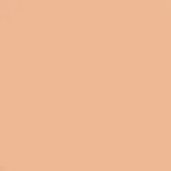 Discount Kryolan Professional Make-Up Kryolan Dermacolor Camouflage Creme 4g