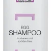 New Comair MC Egg Shampoo