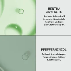 Outlet Nioxin Dermabrasion Scalp Renew Treatment