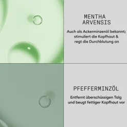 New Nioxin Hair Booster Serum