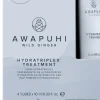 Clearance Paul Mitchell Awapuhi Wild Ginger HydraTriplex Treatment