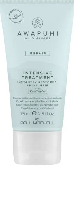 Clearance Paul Mitchell Awapuhi Wild Ginger Repair Intensive Treatment