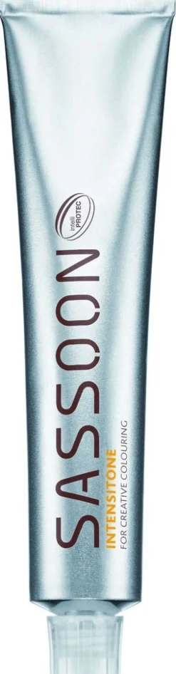 Best Sassoon Intensitone 60ml