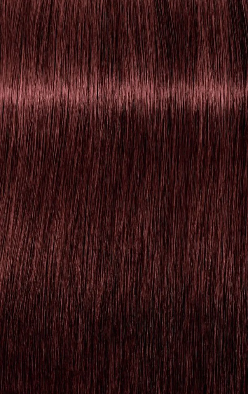 New Schwarzkopf Professional Schwarzkopf Igora Royal Absolutes
