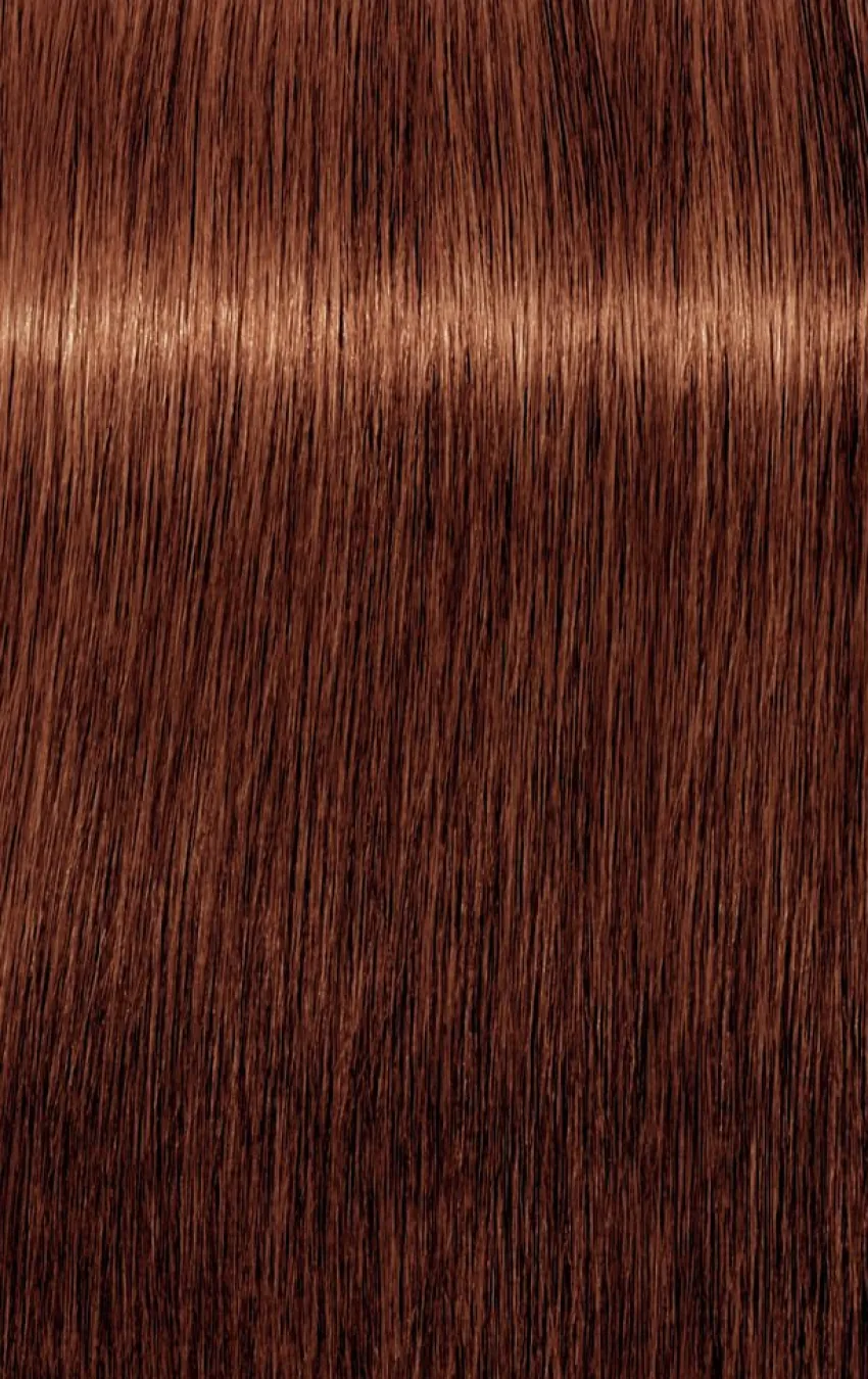 New Schwarzkopf Professional Schwarzkopf Igora Royal Absolutes