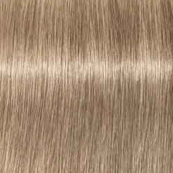 Fashion Schwarzkopf Professional Schwarzkopf Igora Royal Cool