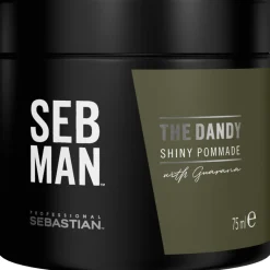 Discount Sebastian Seb Man The Dandy - Light Hold Pomade
