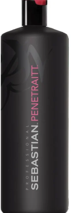 Clearance Sebastian Penetraitt Shampoo