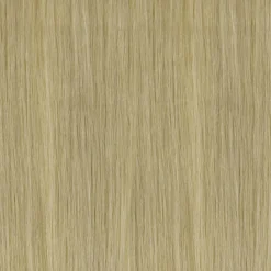 Best SHE Professionals SHE Bonding Extensions Hellgoldblond Farbe db2
