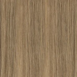 New SHE Professionals SHE Bonding Extensions Hell-Natur-Asch-Blond Farbe 19