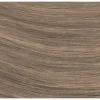 Fashion SHE Professionals She Tape Extensions Dunkel-Asch-Grau-Blond Farbe 103
