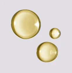 Online Shu Uemura Essence Absolue Nourishing Soothing Scalp Concentrate