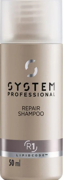 Fashion System Professional Lipid Code Repair Shampoo