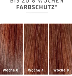 Fashion Wella Color Motion+ Shampoo